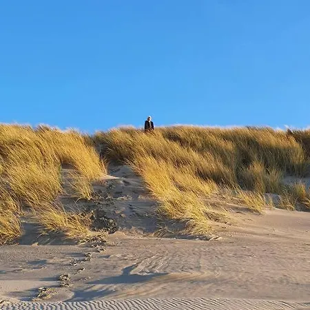 アパート Entier Avec Grand Jardin Et Parking Wifi 6 Et Fibre Berck